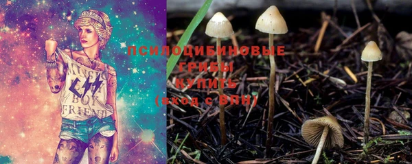 мет Белокуриха