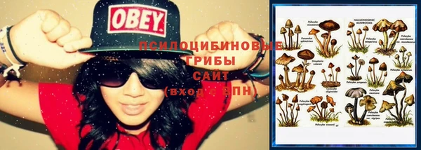 тгк Белоозёрский