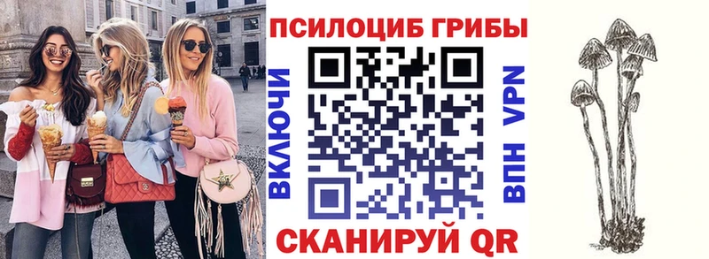 ссылка на мегу зеркало купить наркотики сайты Верещагино Галлюциногенные грибы прущие грибы